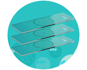 z6com·尊龙(中国)时凯集团