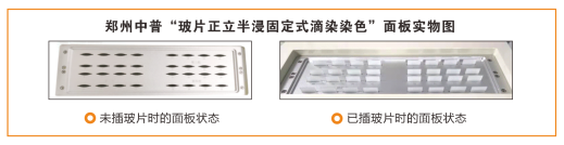 z6com·尊龙(中国)时凯集团